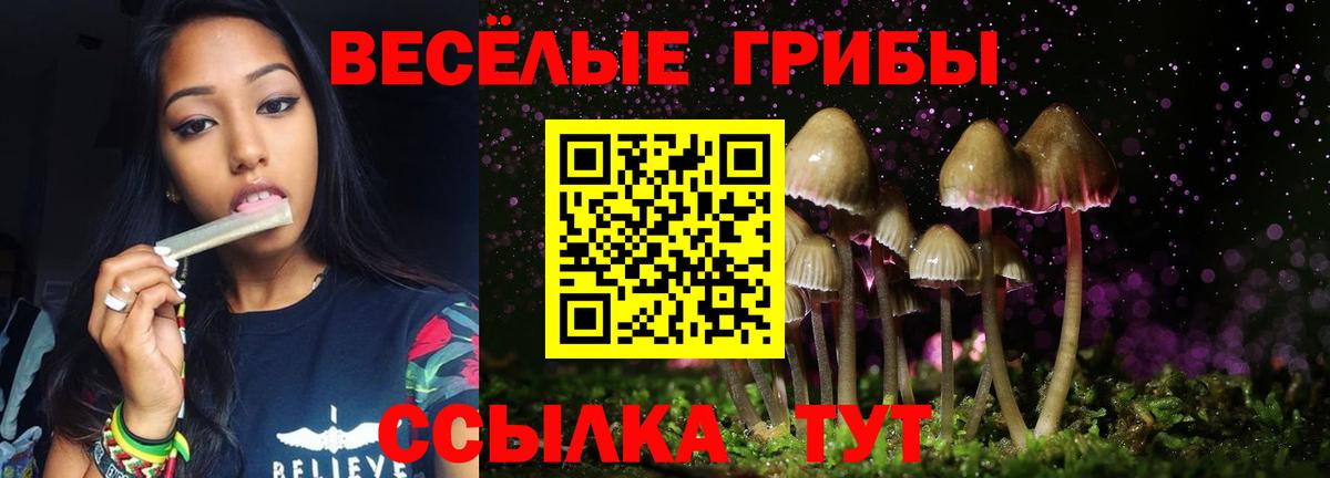 Галлюциногенные грибы ЛСД  Вход с VPN  Псилоцибиновые грибы GOLDEN TEACHER  Дедовск 